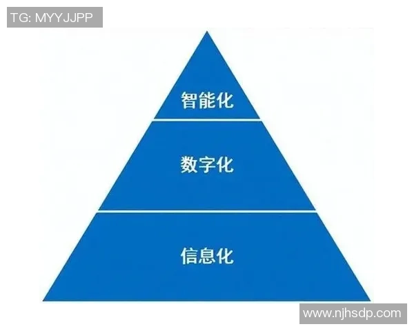 南京乒乓球队转型之路的挑战与机遇全景解析