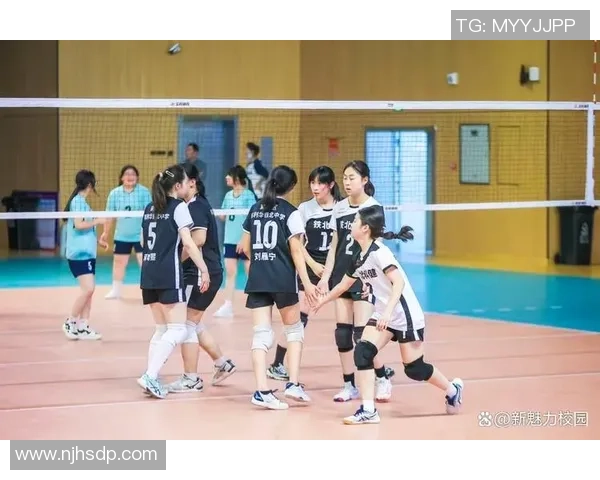 南京排球队的力量揭秘：从训练到比赛的全景探索与背后故事