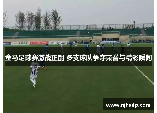金马足球赛激战正酣 多支球队争夺荣誉与精彩瞬间