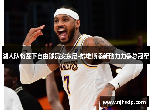 湖人队将签下自由球员安东尼-戴维斯添新助力力争总冠军